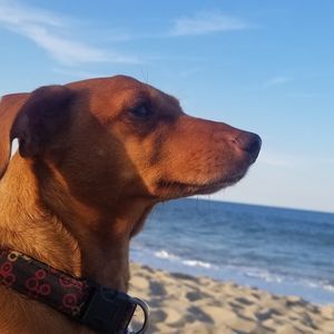 Meet your Posher, Sue